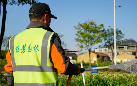 喜讯！九游会园林韶关市政道路养护项目获表彰！